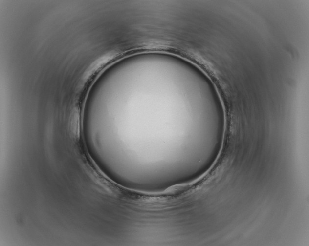 X0000113531171200910091217