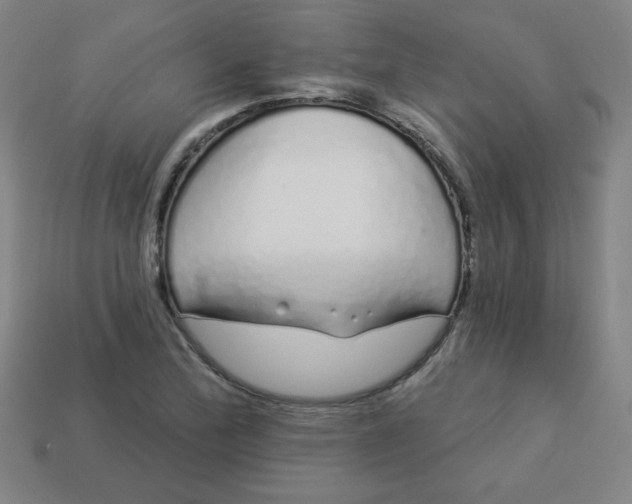 X0000113531172200910091217