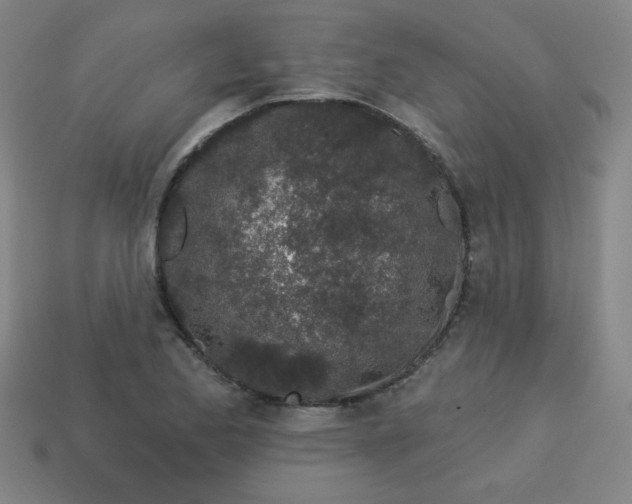 X0000113531173200910091217