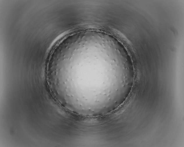 X0000113531174200910091217