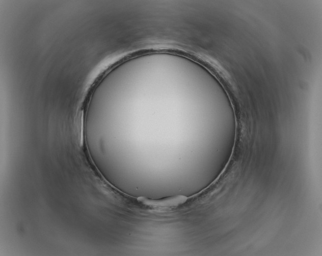 X0000113531175200910091217