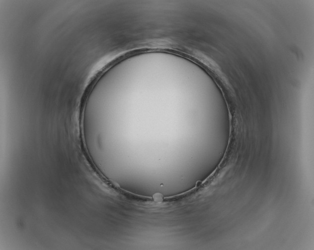 X0000113531176200910091217