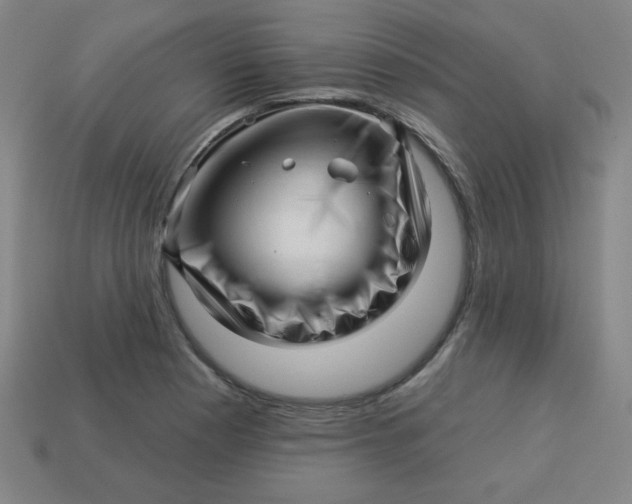 X0000113531177200910091217