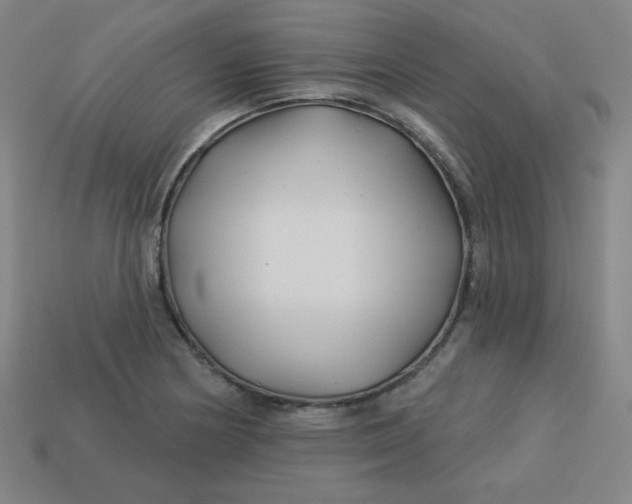 X0000113531178200910091217