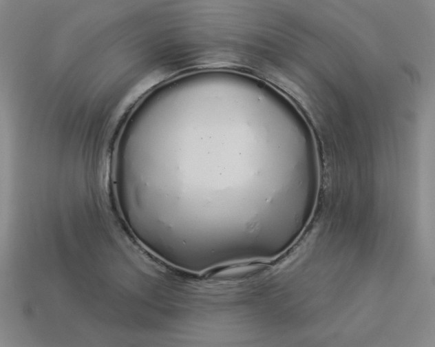 X0000113531179200910091217