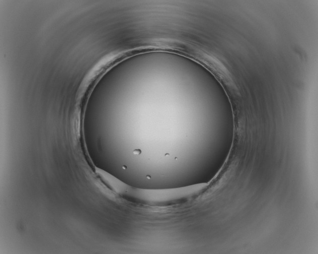 X0000113531180200910091217