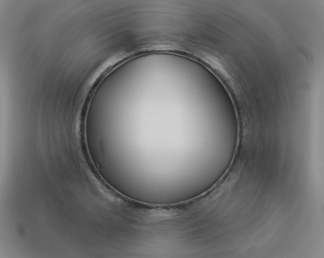 X0000113531181200910091217