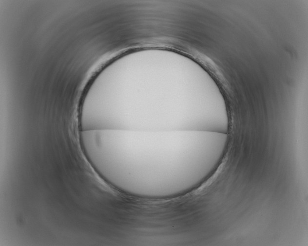 X0000113531184200910091217