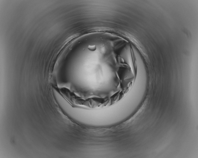 X0000113531185200910091217