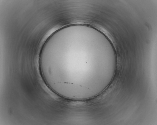 X0000113531187200910091216