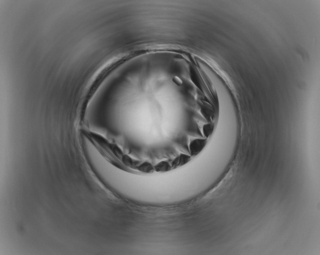 X0000113531189200910091216