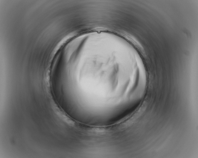 X0000113531190200910091216