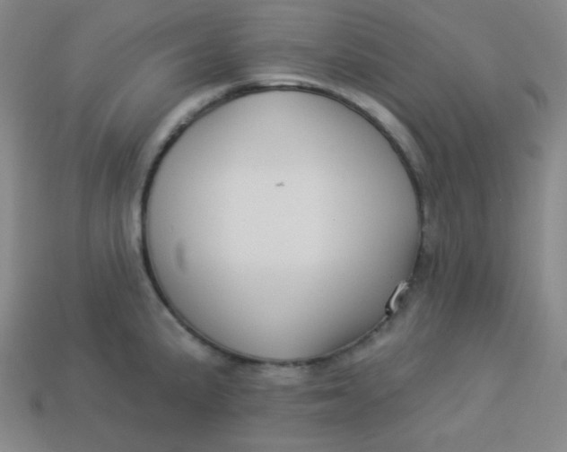 X0000113531191200910091216