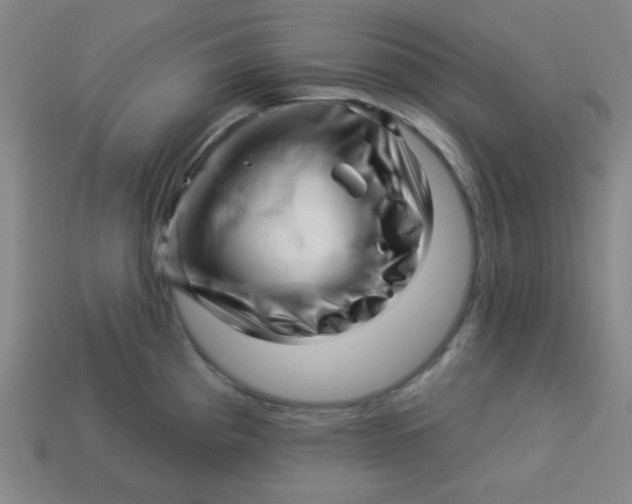 X0000113531193200910091216