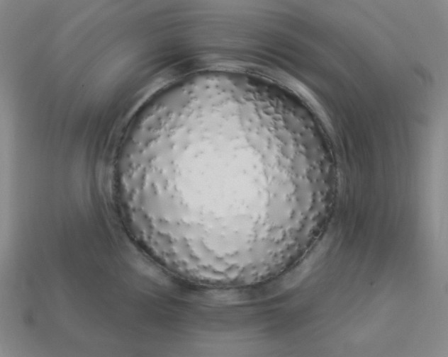 X0000113531194200910091216