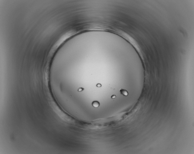 X0000113531195200910091216