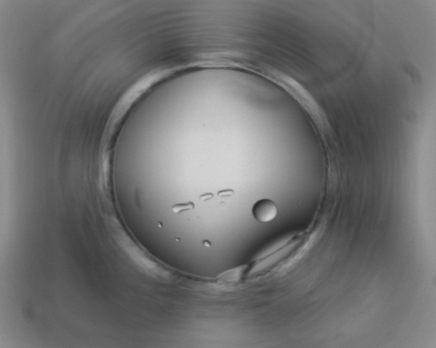 X0000113531196200910091216