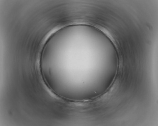 X0000113531197200910091216