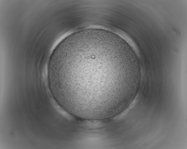 X0000113531198200910091216