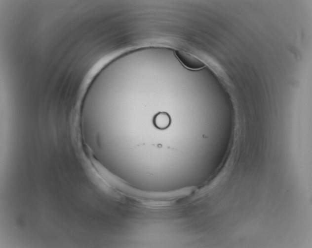 X0000113531200200910091216