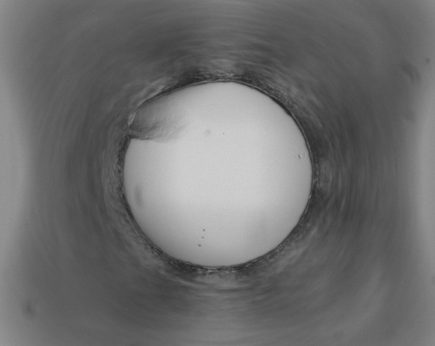 X0000113531201200910091216