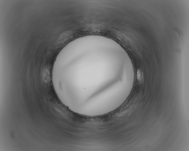 X0000113531203200910091216