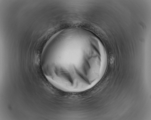 X0000113531204200910091216