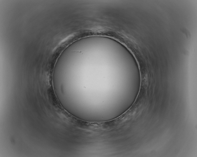 X0000113531205200910091216