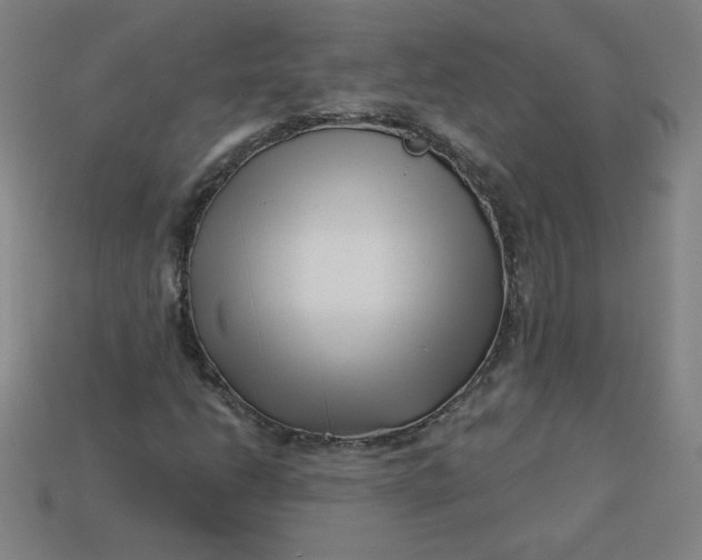 X0000113531206200910091216