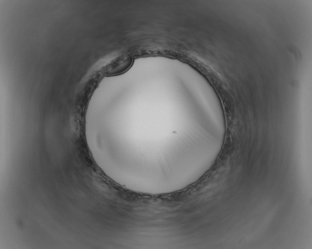 X0000113531207200910091216