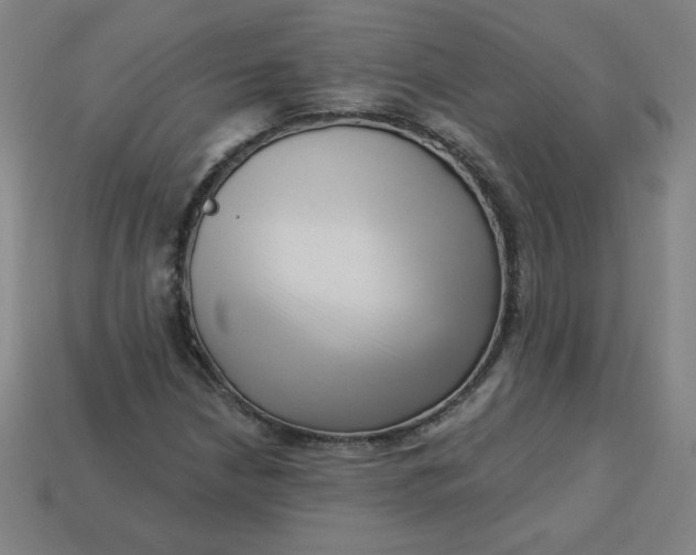 X0000113531210200910091216