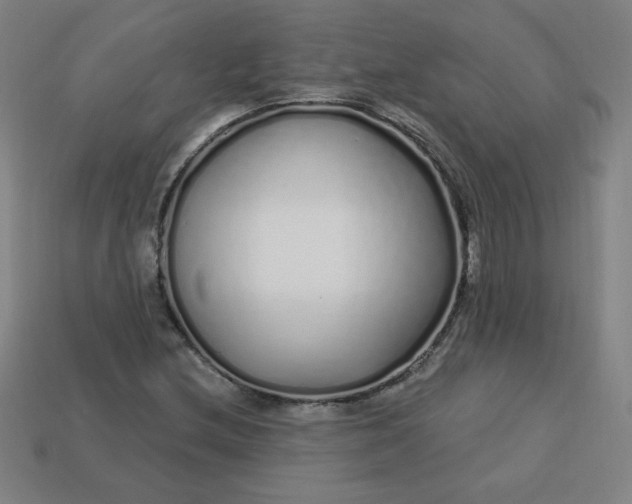 X0000113531212200910091216