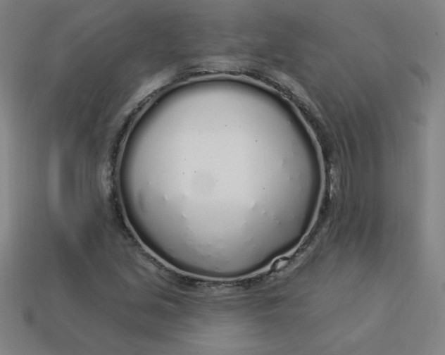 X0000113531213200910091216