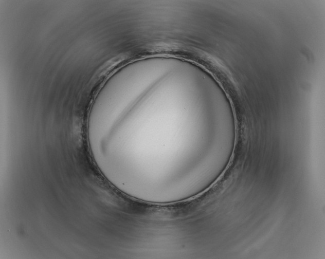 X0000113531217200910091216