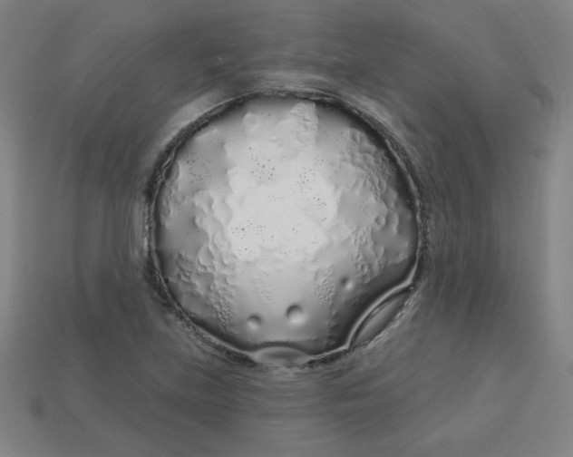 X0000113531219200910091216