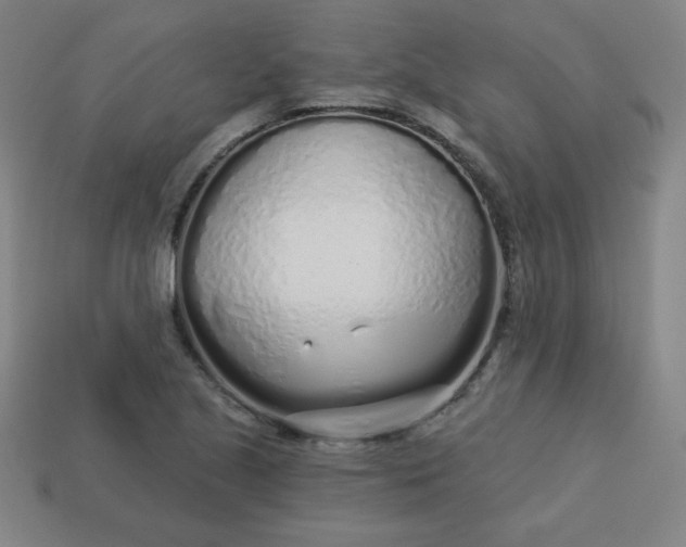 X0000113531221200910091216