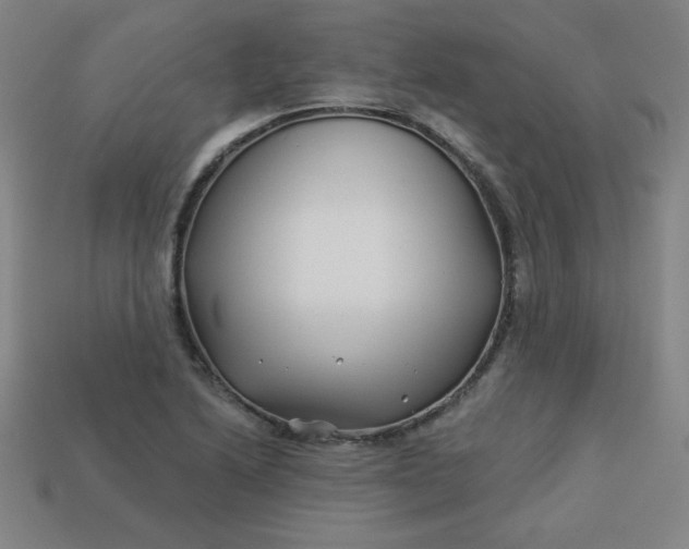 X0000113531222200910091216