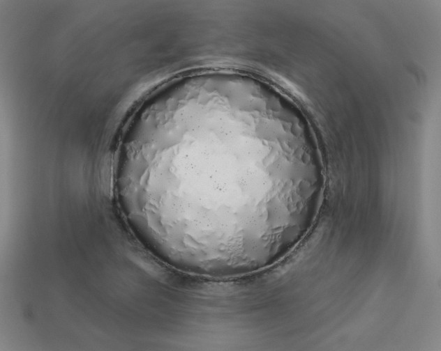 X0000113531223200910091216