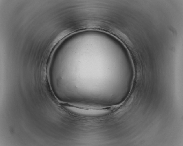 X0000113531226200910091216