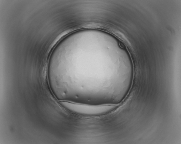 X0000113531228200910091216