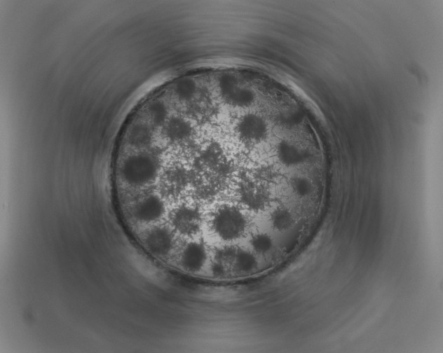 X0000113531229200910091216