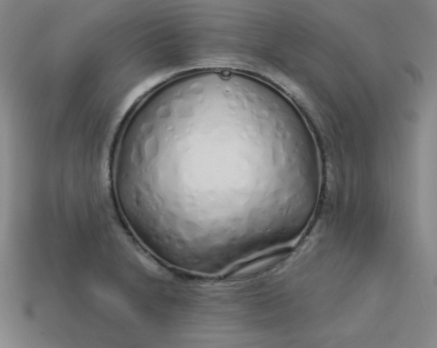 X0000113531230200910091216