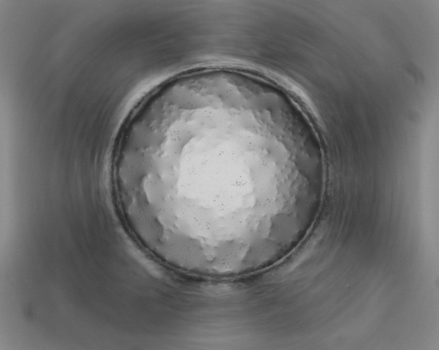 X0000113531231200910091216