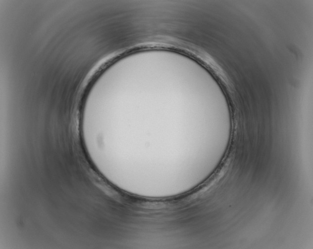 X0000113531232200910091216