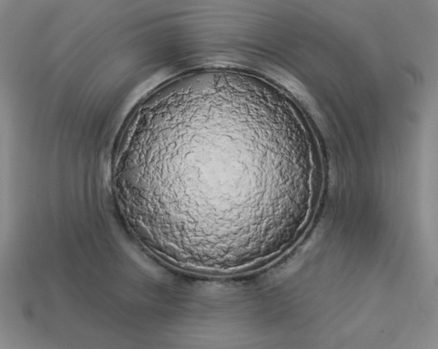 X0000113531234200910091216