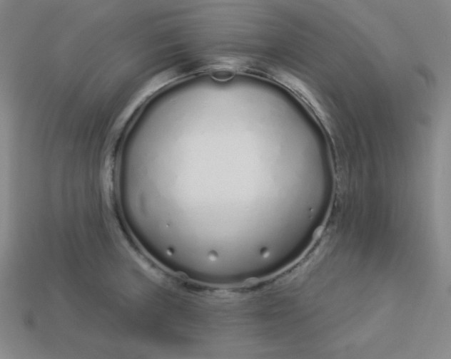 X0000113531235200910091216