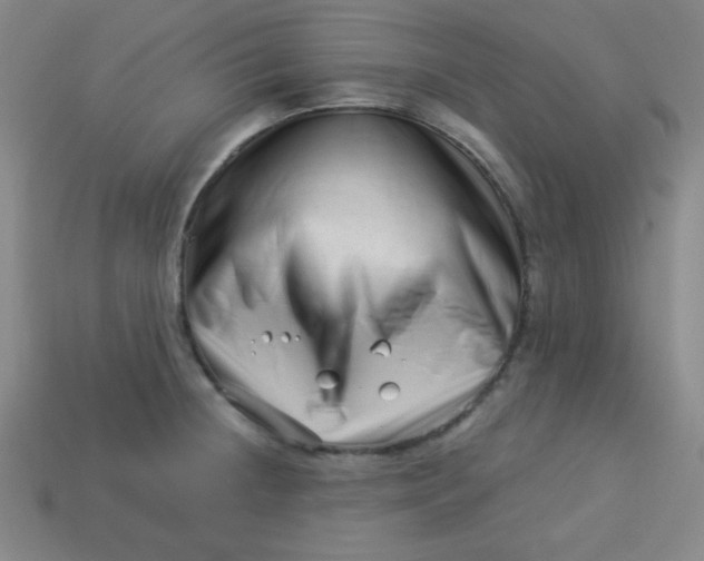 X0000113531236200910091216