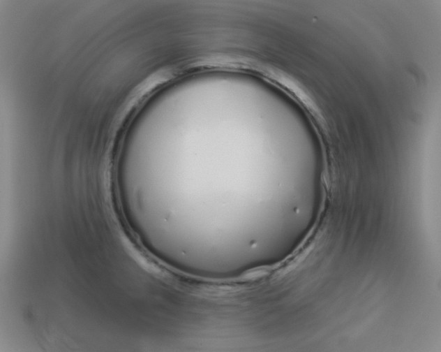 X0000113531237200910091216