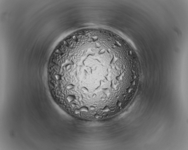 X0000113531239200910091216