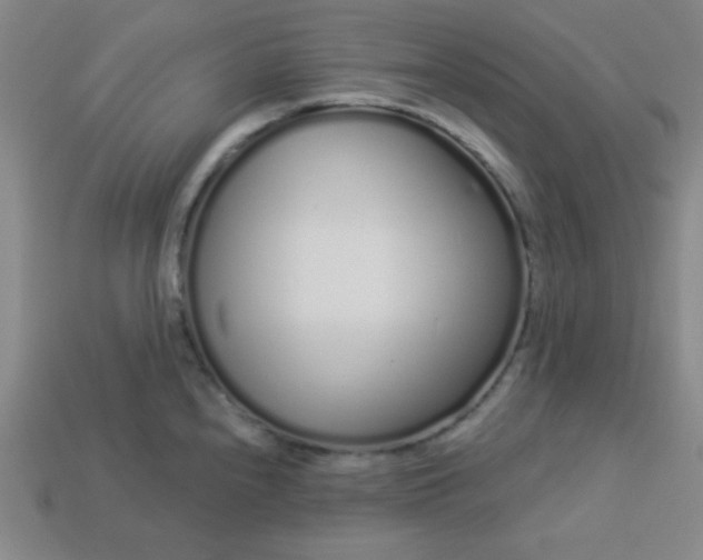 X0000113531240200910091216